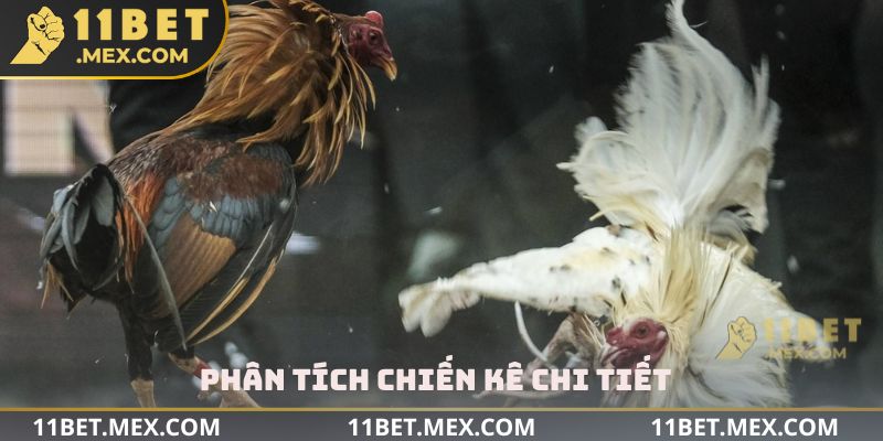 Phân tích chiến kê chi tiết