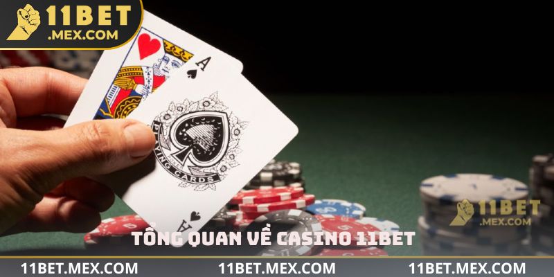 Tổng quan về Casino 11bet
